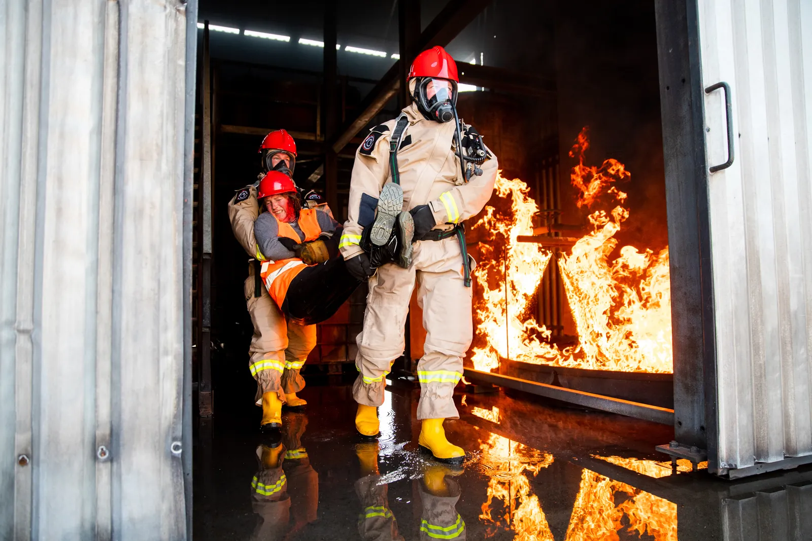 CBRN-LION-249