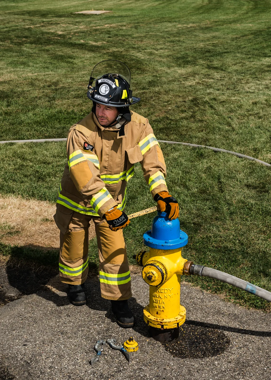 LION Express_gold_action_hydrant_393